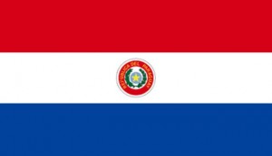 banderaparaguaya[1]